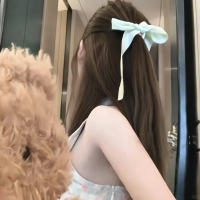 理想主义者